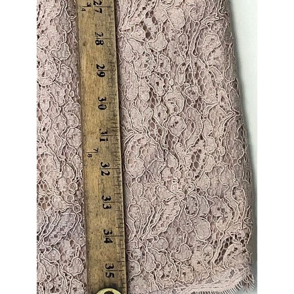 Adrianna Papell Lace Dress in Blush Pink - Picture 3 of 10